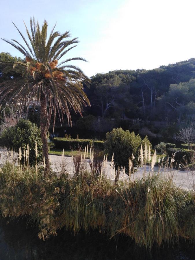 Appartement T2 Avec Piscine A 100 M De La Plage Six-Fours-les-Plages Exterior foto